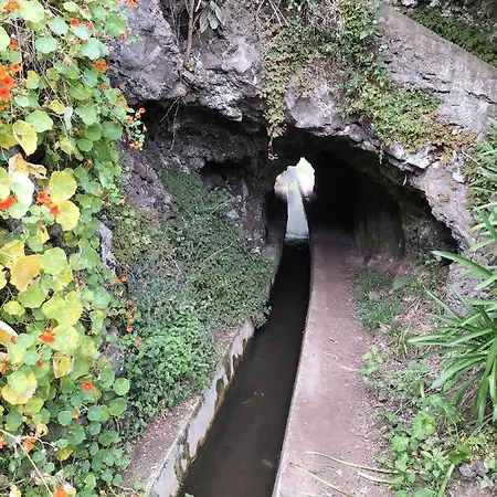 Fanny فيلة ريبيرا برافا